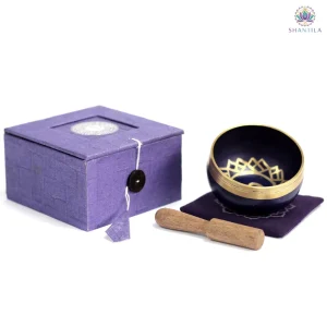 Bol chantant chakra couronne en laiton doré avec baguette en bois, dimensions 8 cm, origine Inde.