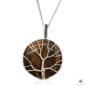 Collier arbre de vie œil de tigre : un disque brun miel traversé de bandes dorées, sur sa chaîne argentée, fond blanc