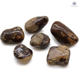 Sachet de 6 grandes pierres polies en Jaspe Nguni aux motifs tachetés