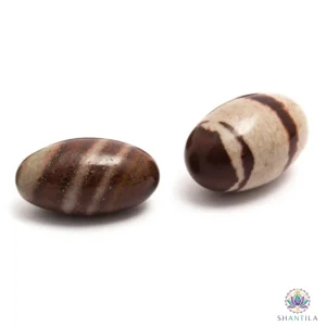 Duo de pierres Shiva Lingam ovales de 5 cm, finition lisse, tons ocre et brun, posées sur fond blanc épuré.